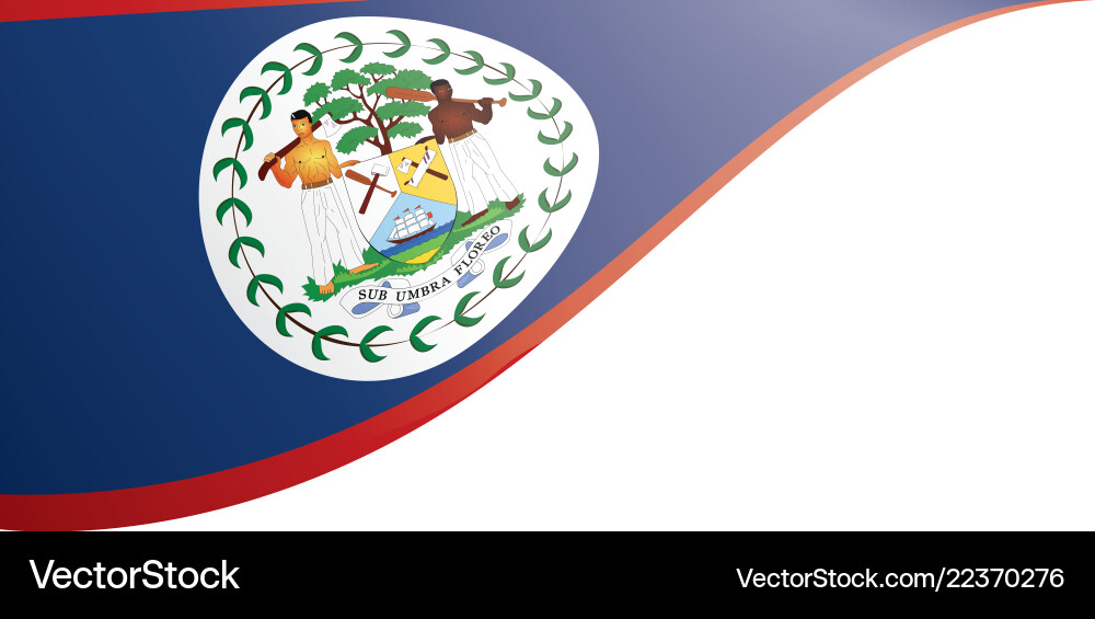 Belize flag on a white Belize flag on a white vector image