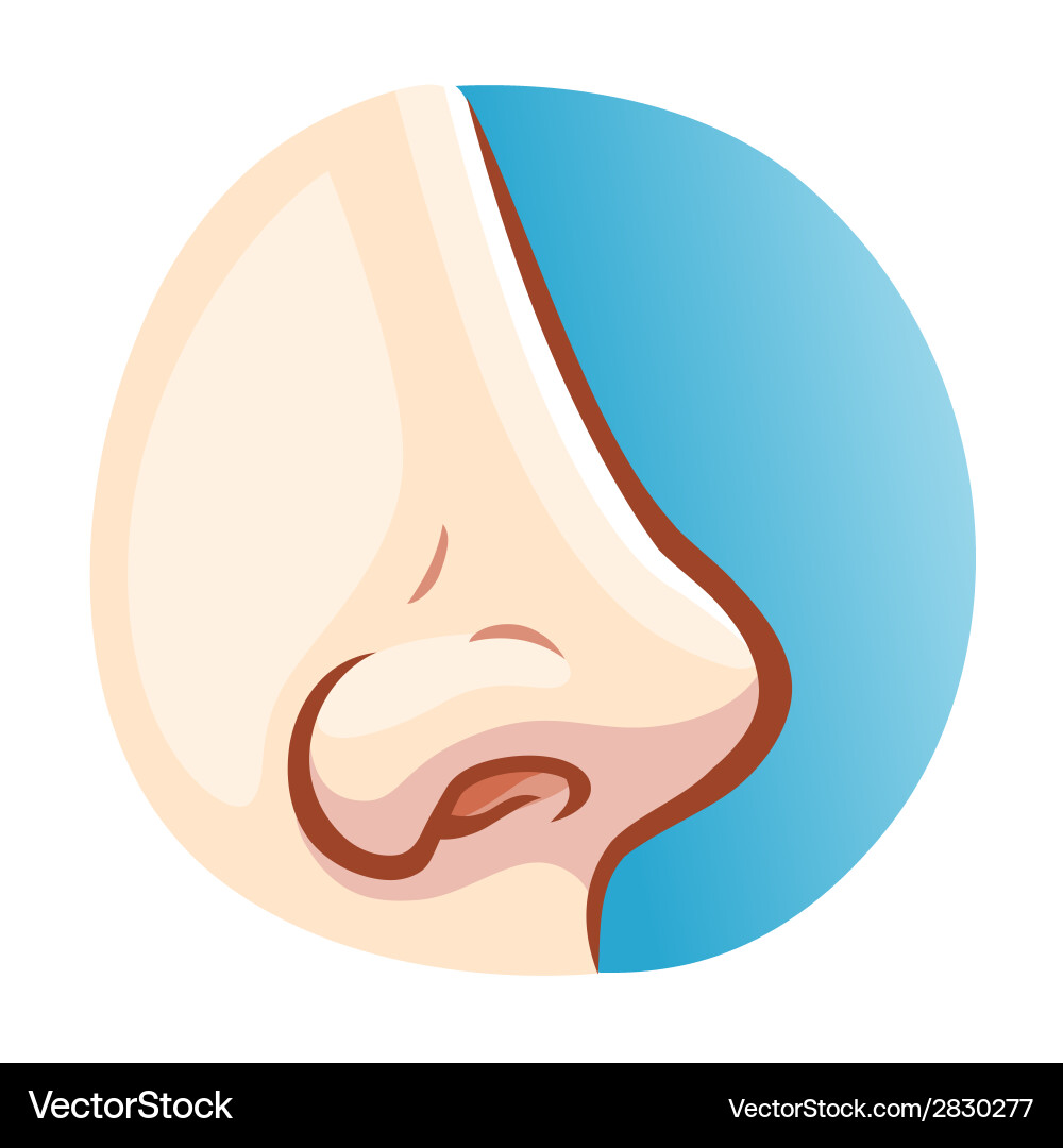 Man nose vector image