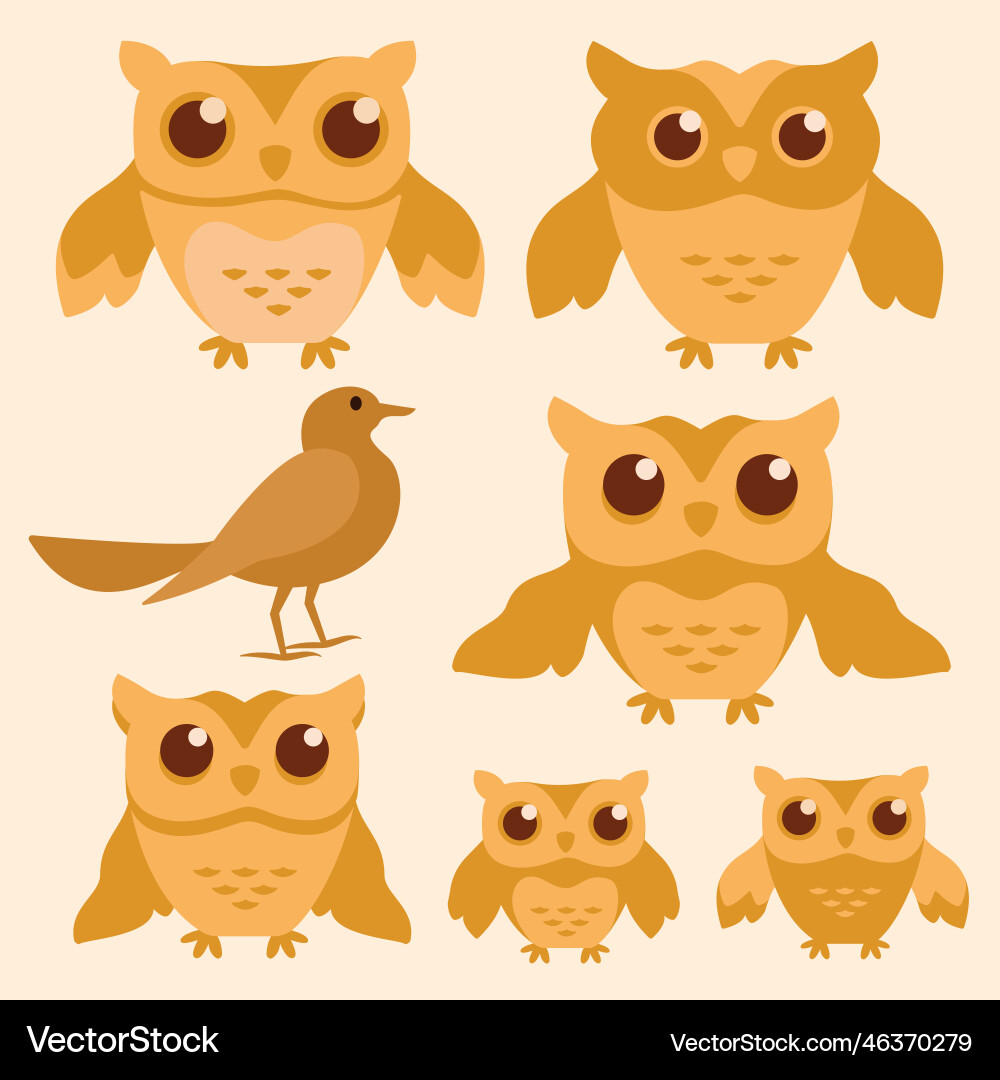 Bird with boho style collection Bird with boho style collection vector image