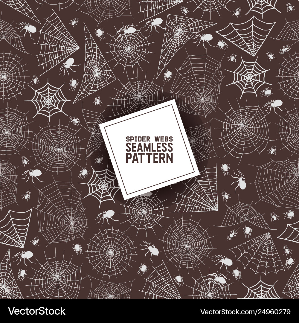 Spooky Spiderweb Pattern vector image