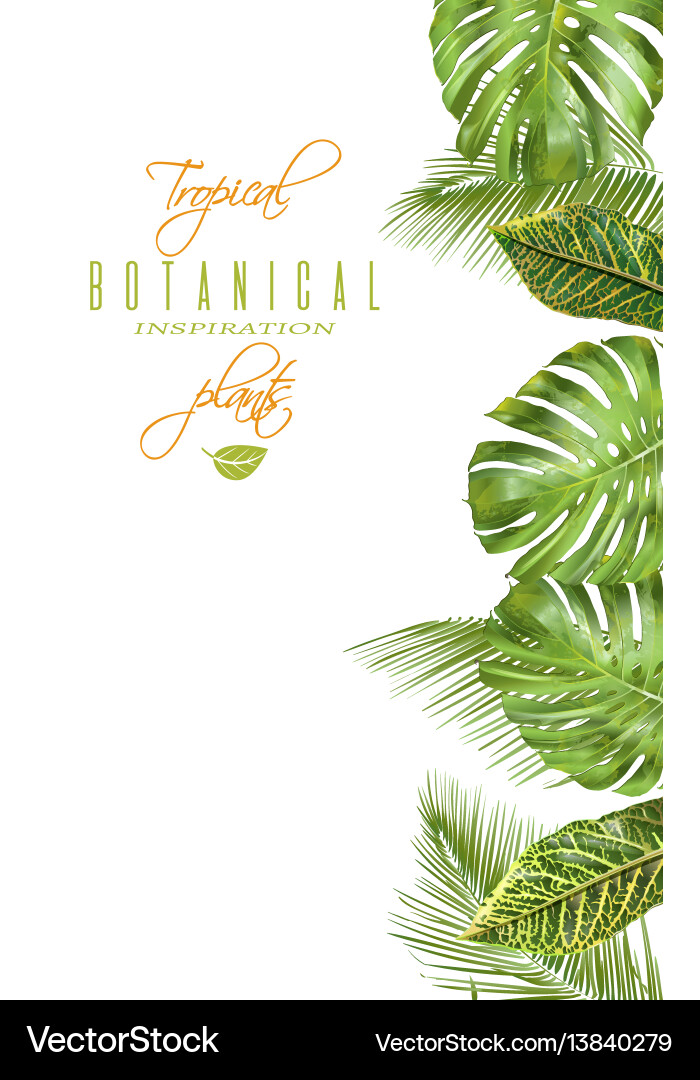 Tropical vertical banner Tropical vertical banner vector image