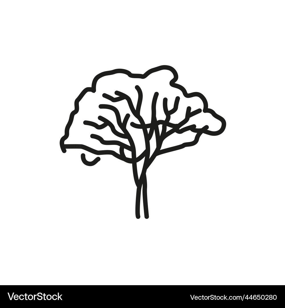 Eucalyptus tree color line icon pictogram for web Vector Image