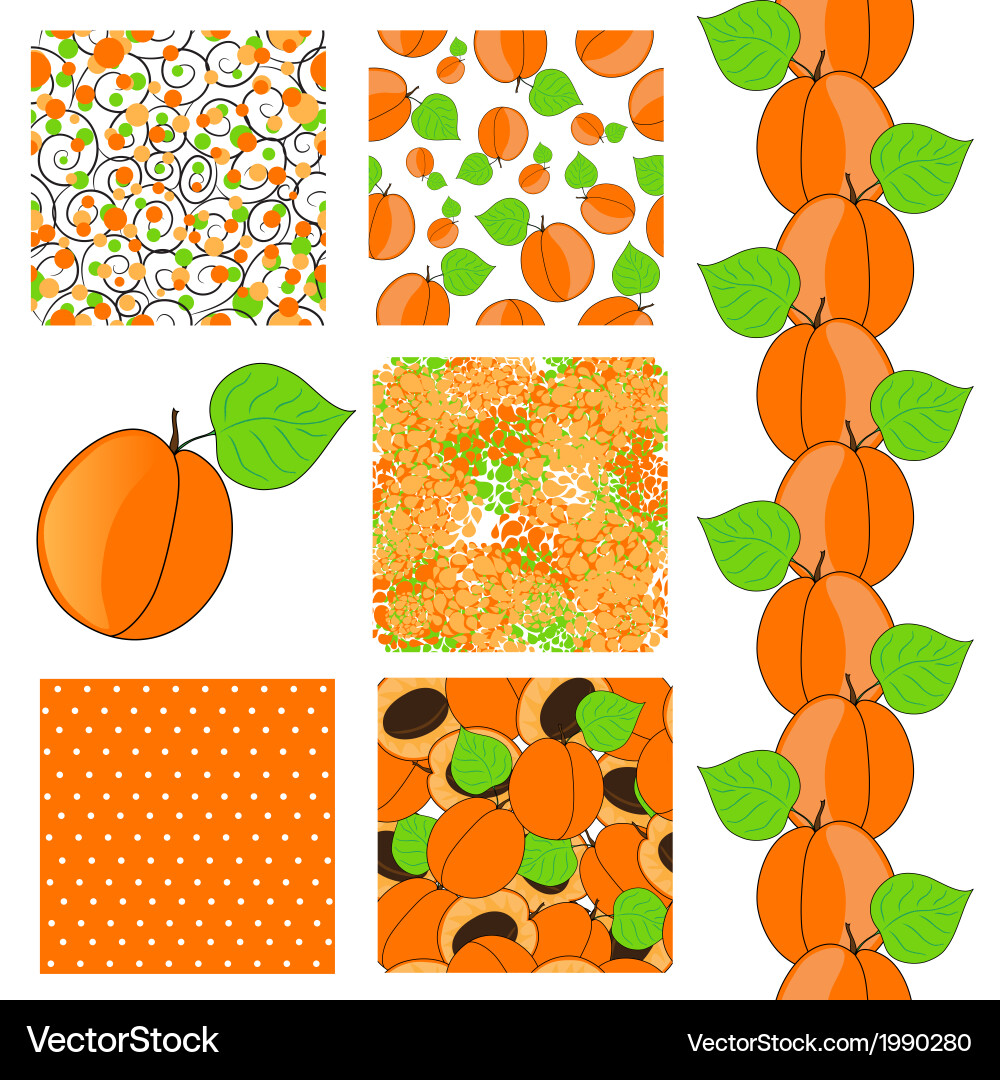 Seamless patterns set vector image