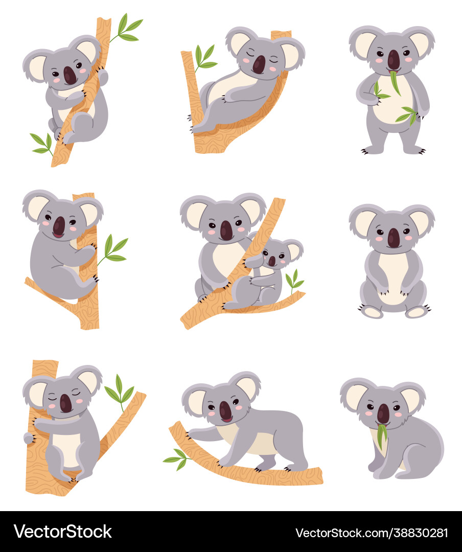 Cute koala funny australia animals collection Cute koala funny australia animals collection vector image