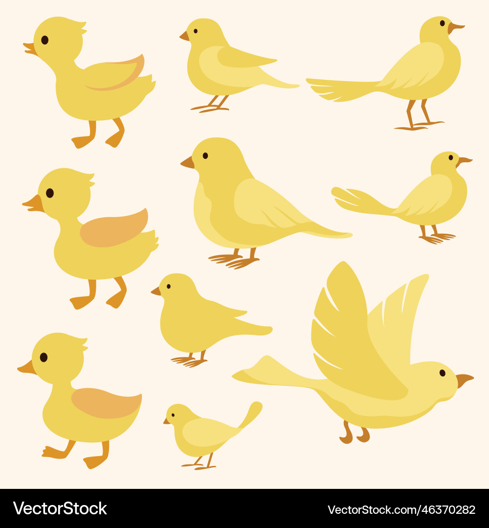 Bird and duck boho style collection Vector Image