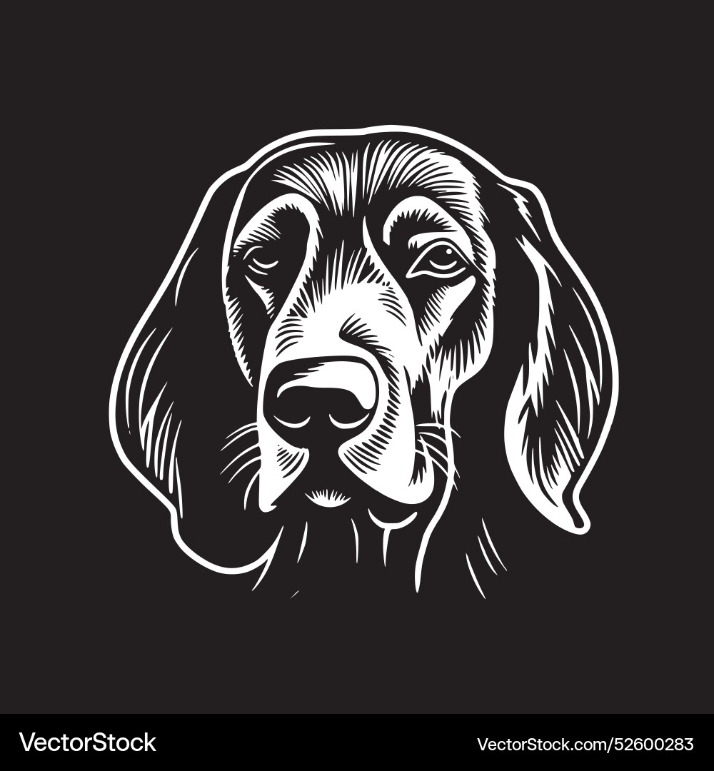Labrador retriever - minimalist and simple Vector Image