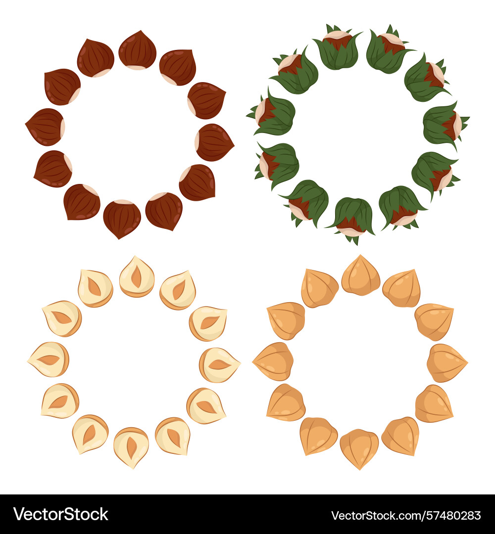 Set round of hazelnuts borders for design Set round of hazelnuts borders for design Vector Image