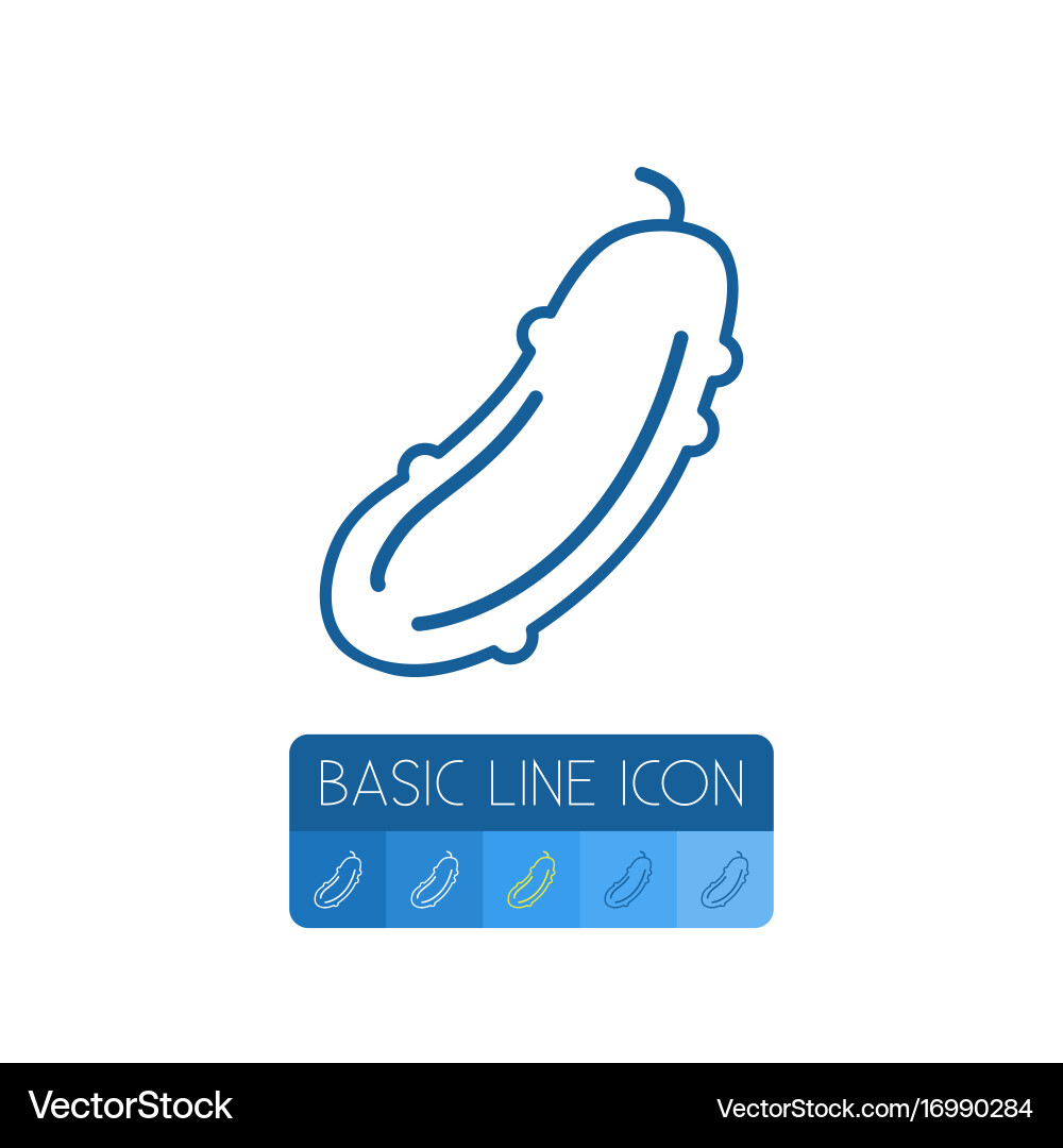 Isolated salad outline cucumber element vector image
