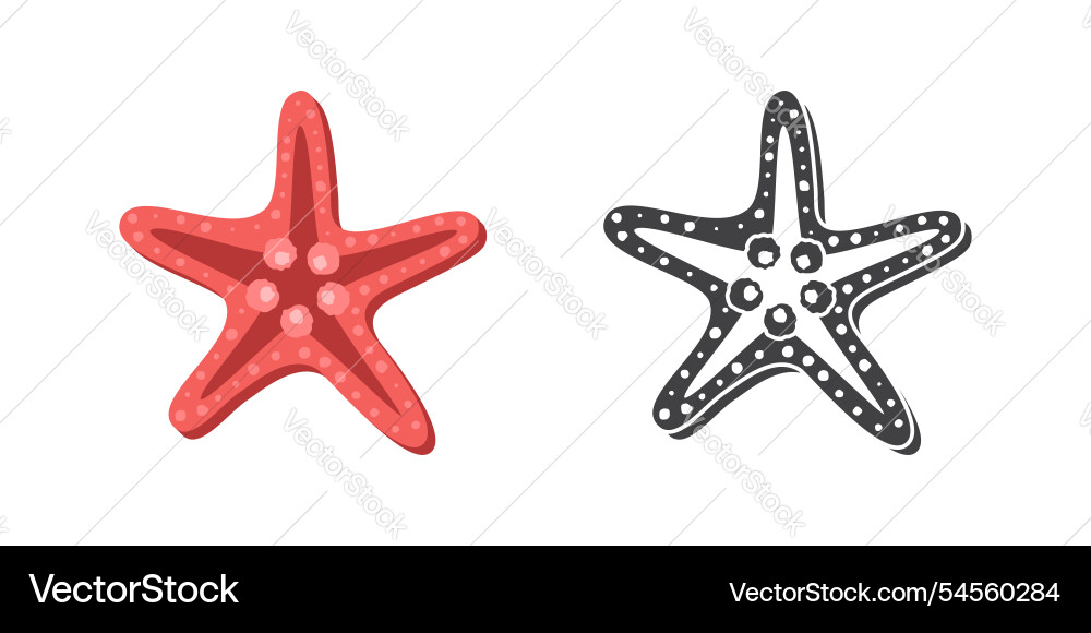 Starfish icon in flat style sea stars on isolated Starfish icon in flat style sea stars on isolated vector image