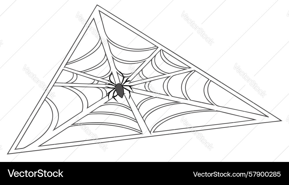 Geometric triangle with intricate spiderweb Vector Image