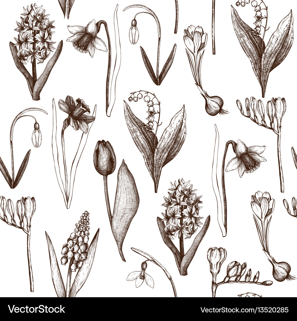 Spring flowers pattern Spring flowers pattern vector image
