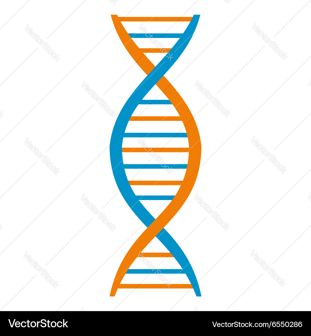 DNA Helix Molecular Symbol Vector Image