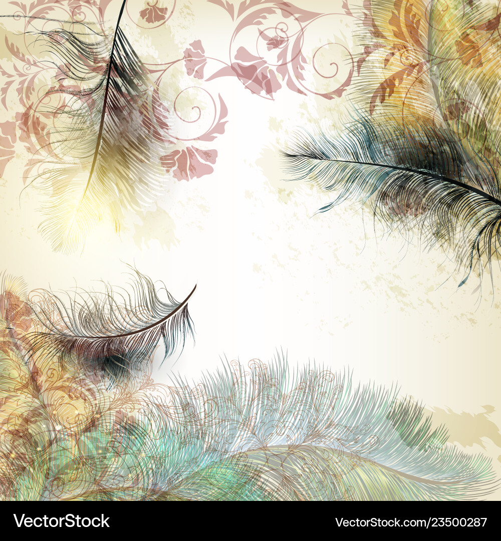 Background with bird feathers in realistic style vector image