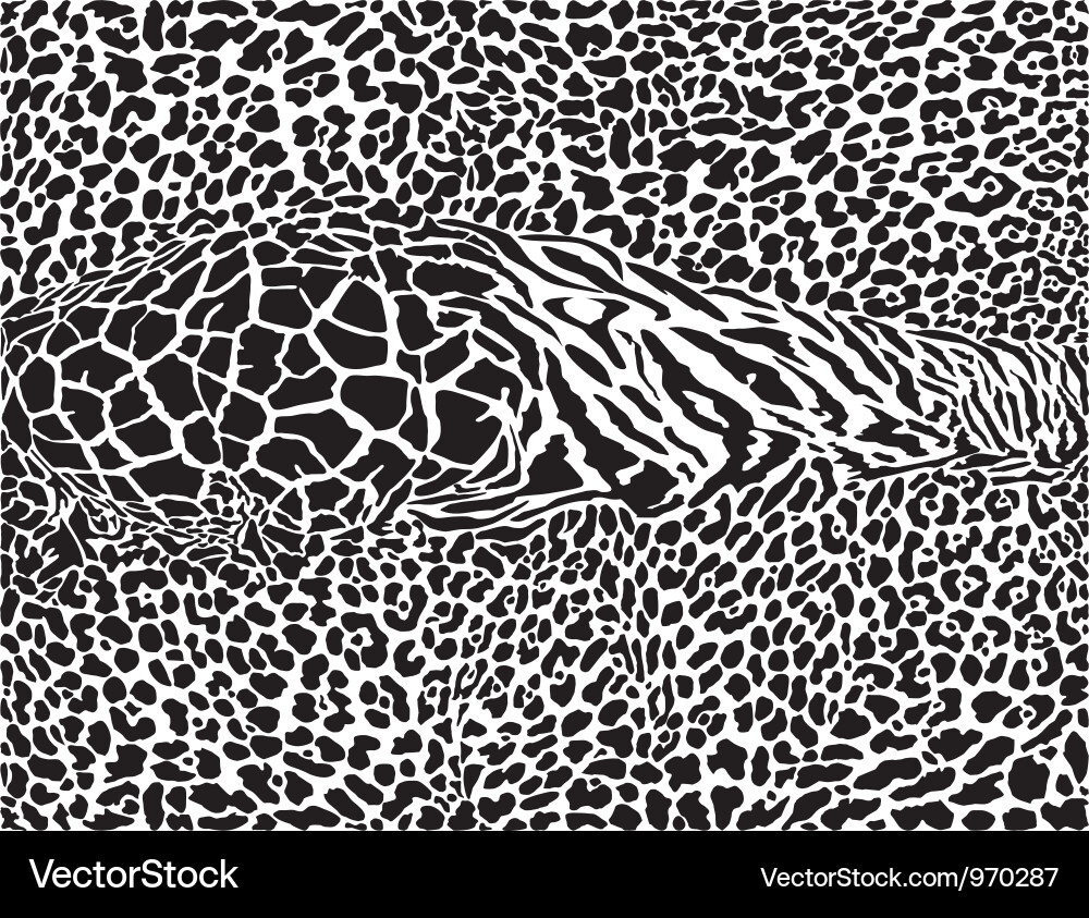 Bold Leopard Print Background vector image