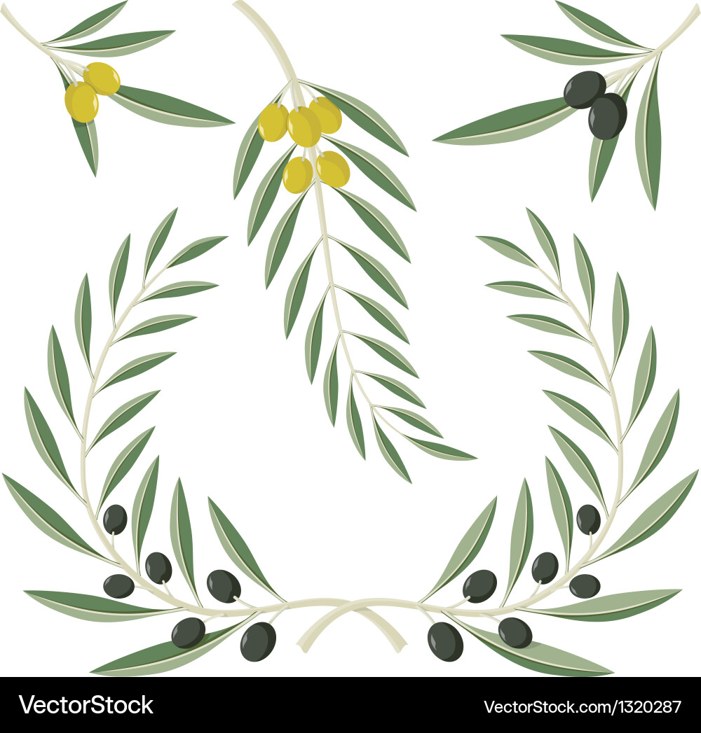 Olive Branches Wreath Royalty Free Vector Image