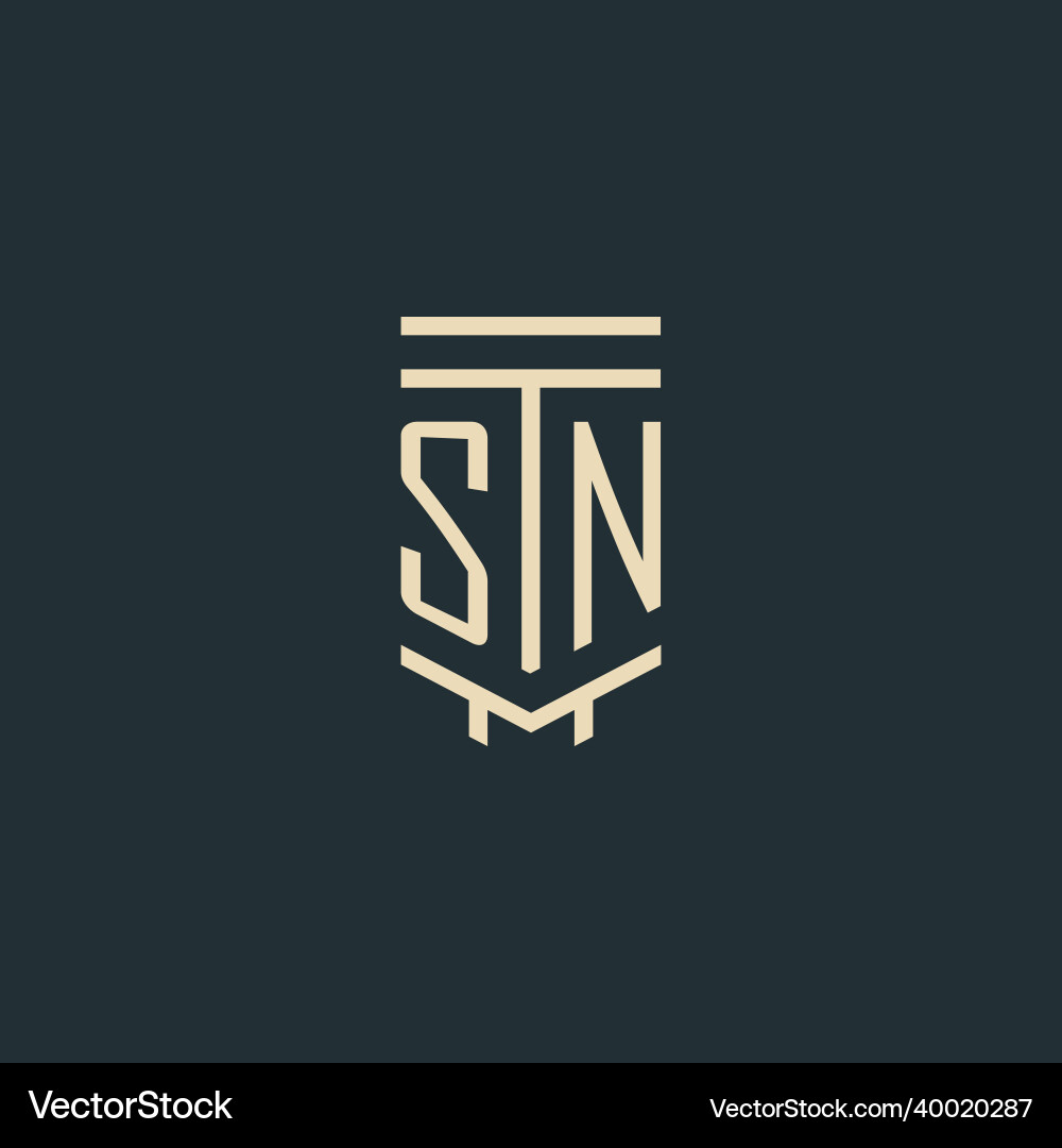 Sn initial monogram with simple line art pillar Vector Image