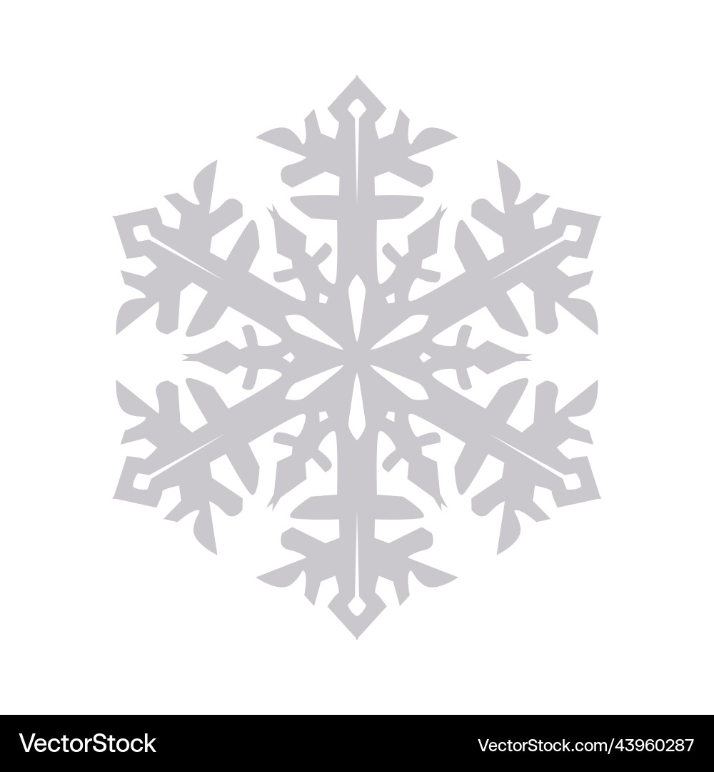 Snowflake graphics on a white background Snowflake graphics on a white background vector image