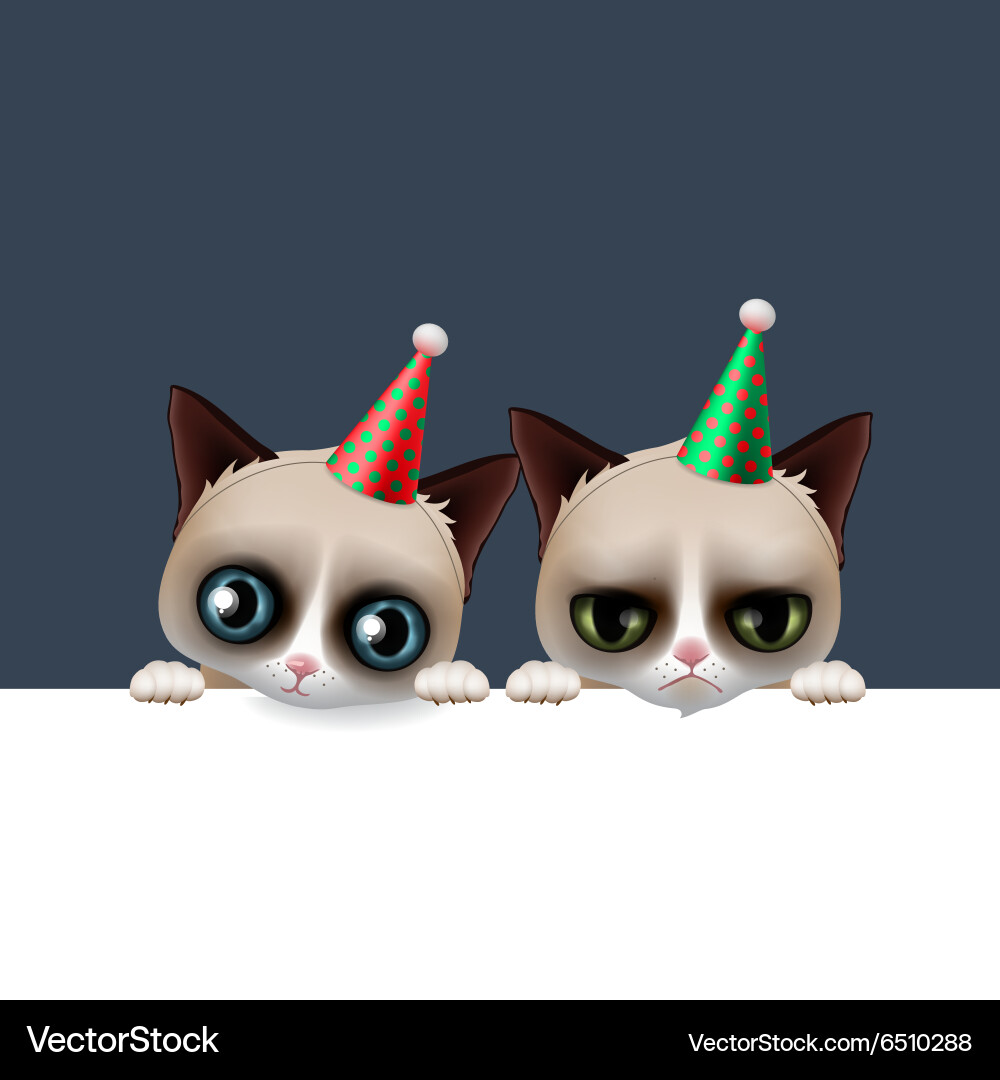 Grumpy Cats Birthday Card – Royalty-Free Vector | VectorStock, image size:1000x1080