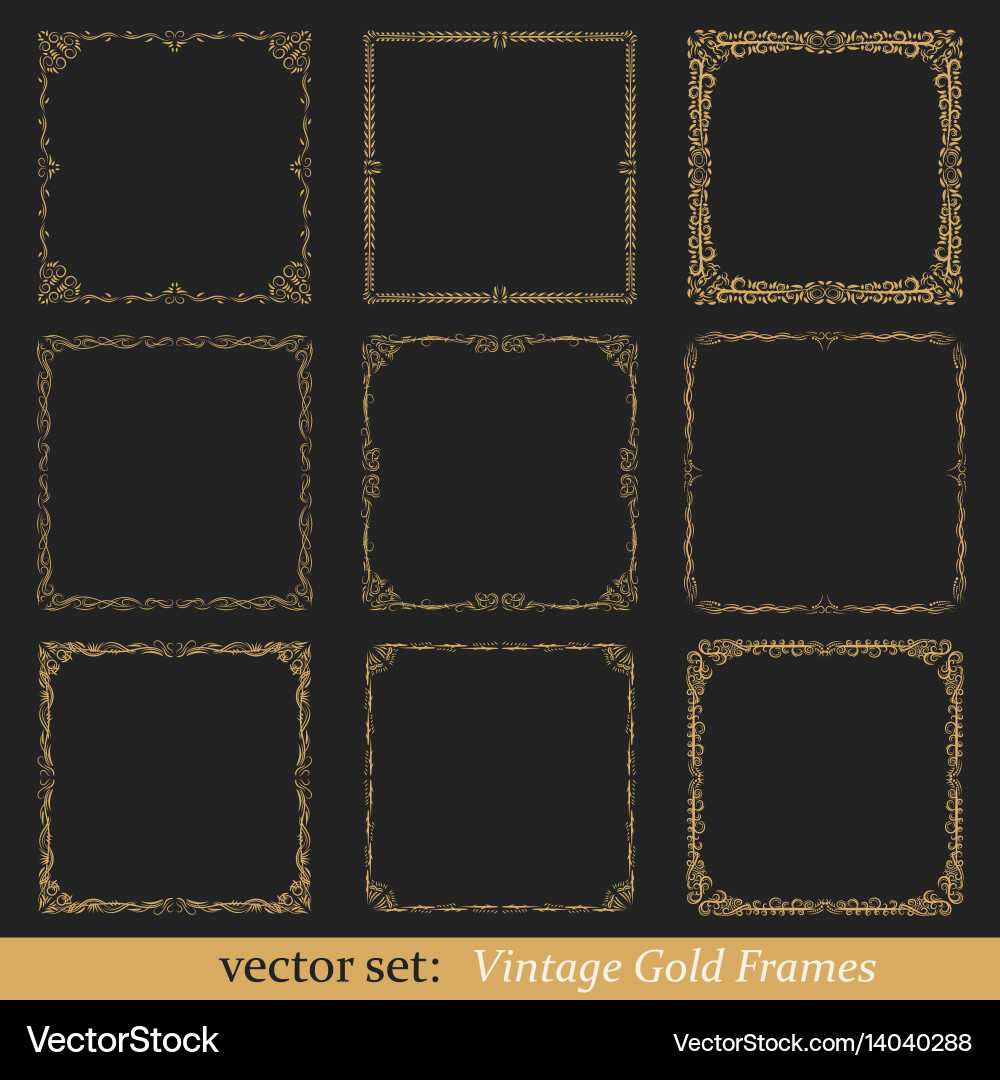 Vintage Gold Frame Set Vector Image