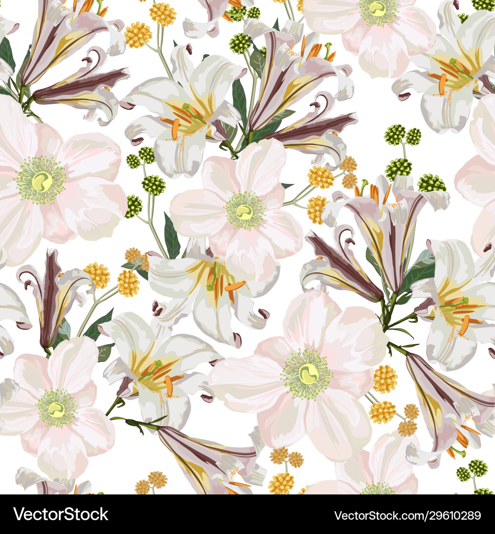 Anemone Lilies Floral Pattern Vector Image
