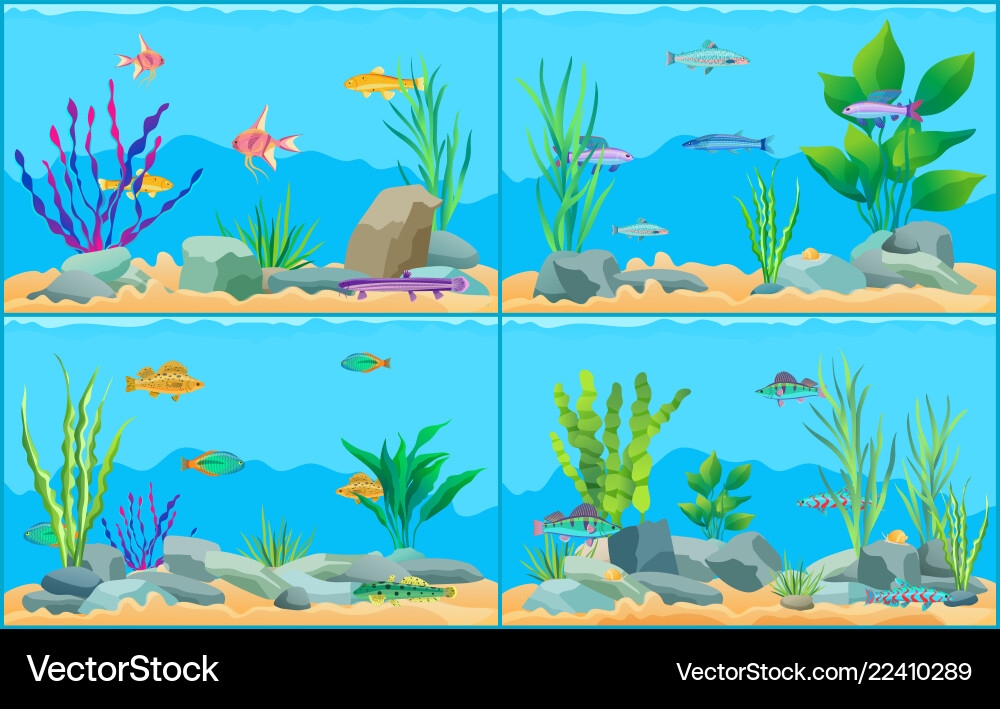 Colorful cartoon aquarium fishes set promo poster Colorful cartoon aquarium fishes set promo poster vector image
