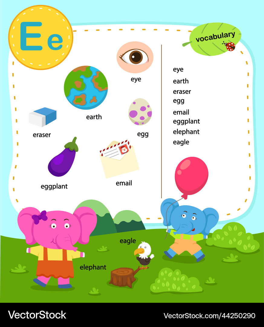Alphabet letter e education vocabulary Alphabet letter e education vocabulary vector image