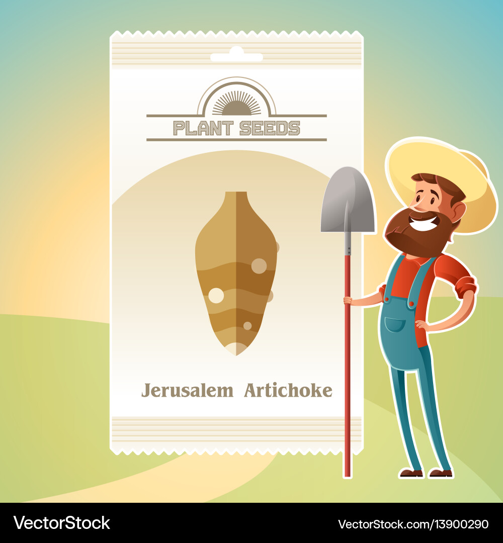 Pack von Jerusalem Artischocken Samen Ikone Pack von Jerusalem Artischocken Samen Ikone vektorbild