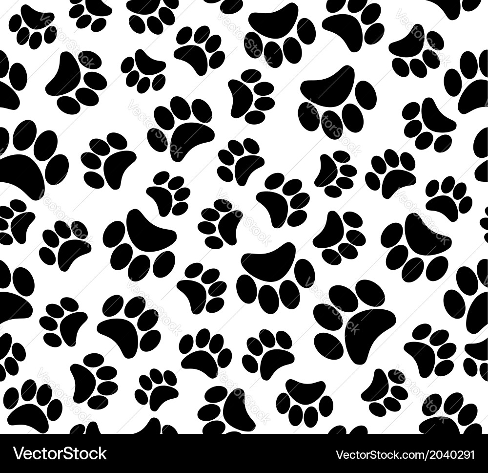 Animal Footprint Pattern Vector Image