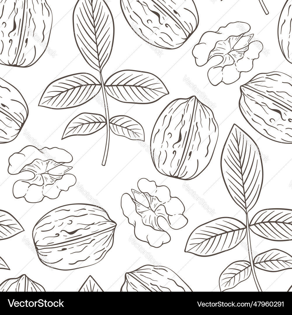 Seamless pattern with walnut Vector Image