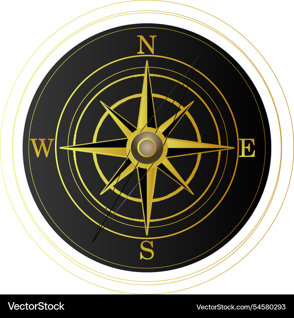 Compass navigation - icon vector image