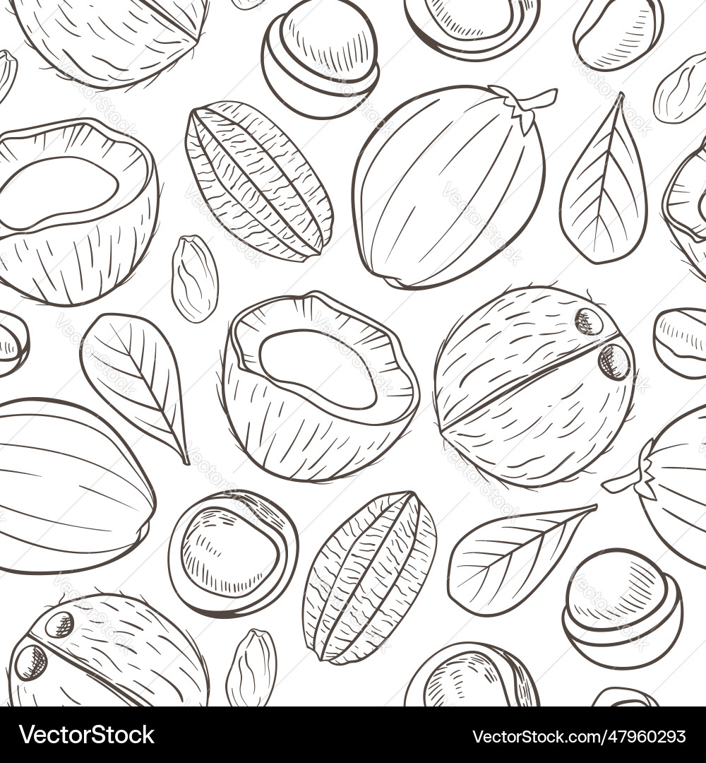Seamless pattern with coconuts and macadamia nuts Vector Image