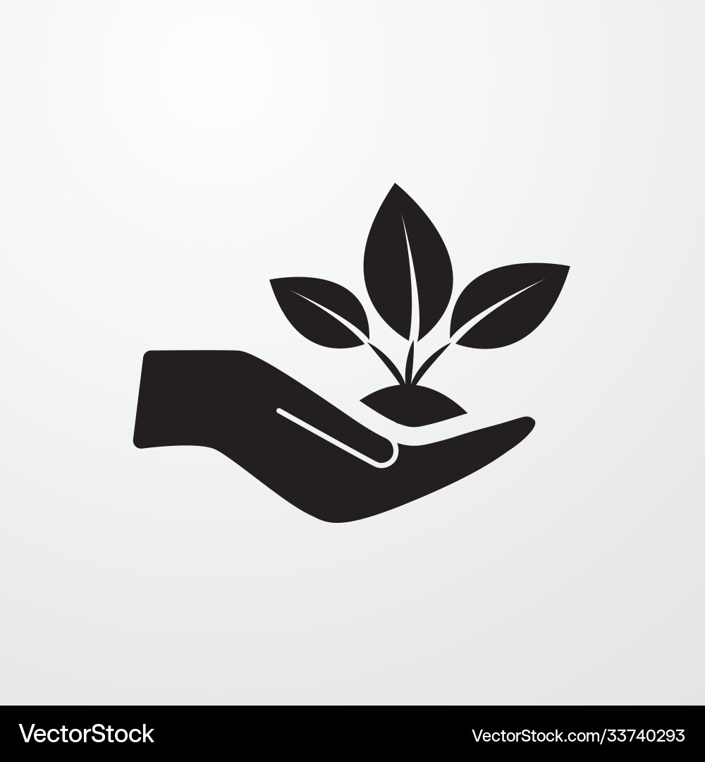 Sprout in a hand icon for web and mobile vector image