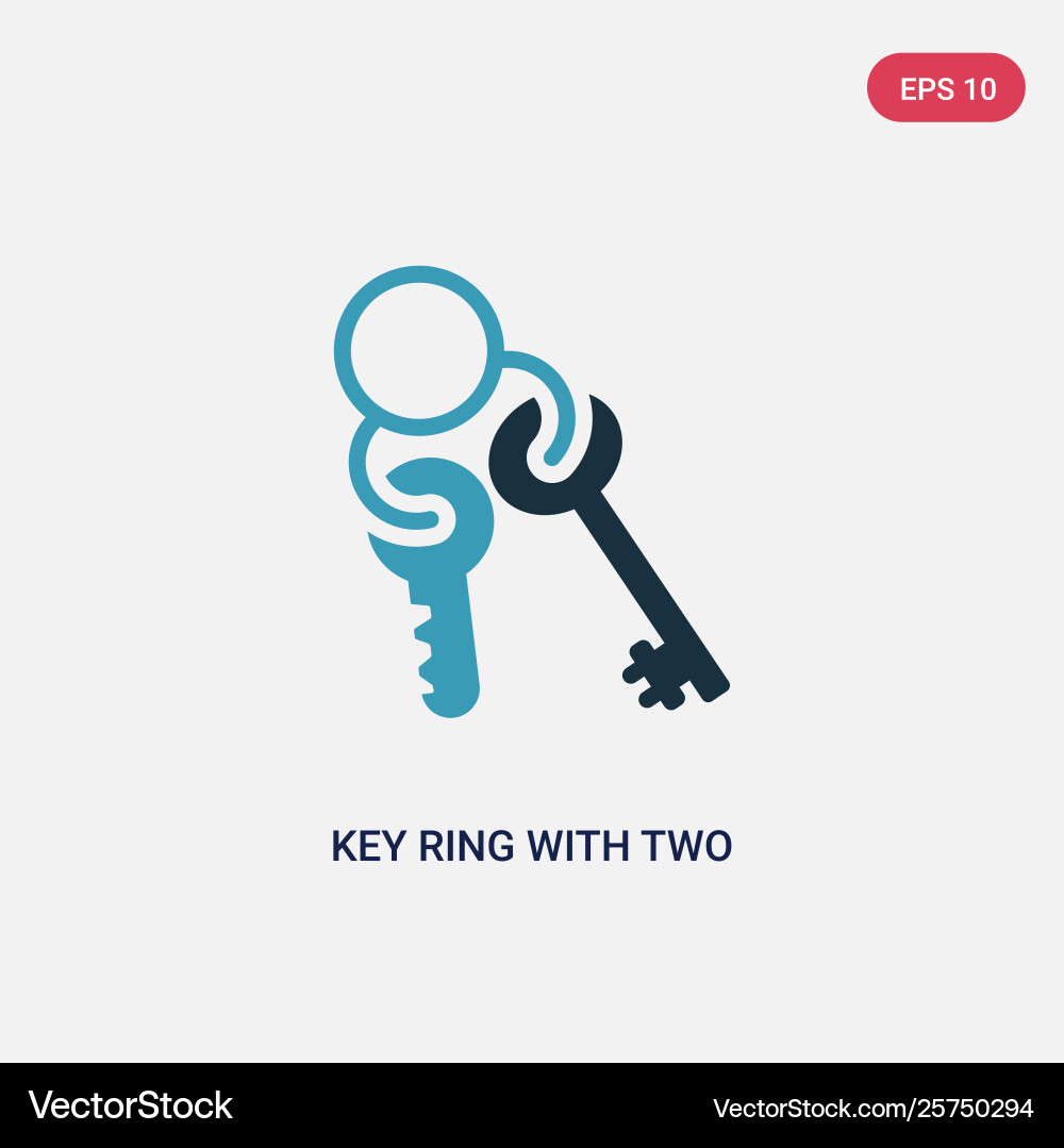 Two color key ring with keys icon from tools Two color key ring with keys icon from tools vector image