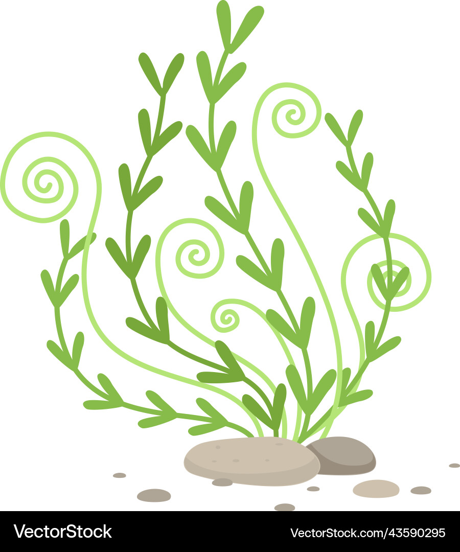 Aquatic plant marine algae cartoon green seaweed Aquatic plant marine algae cartoon green seaweed vector image