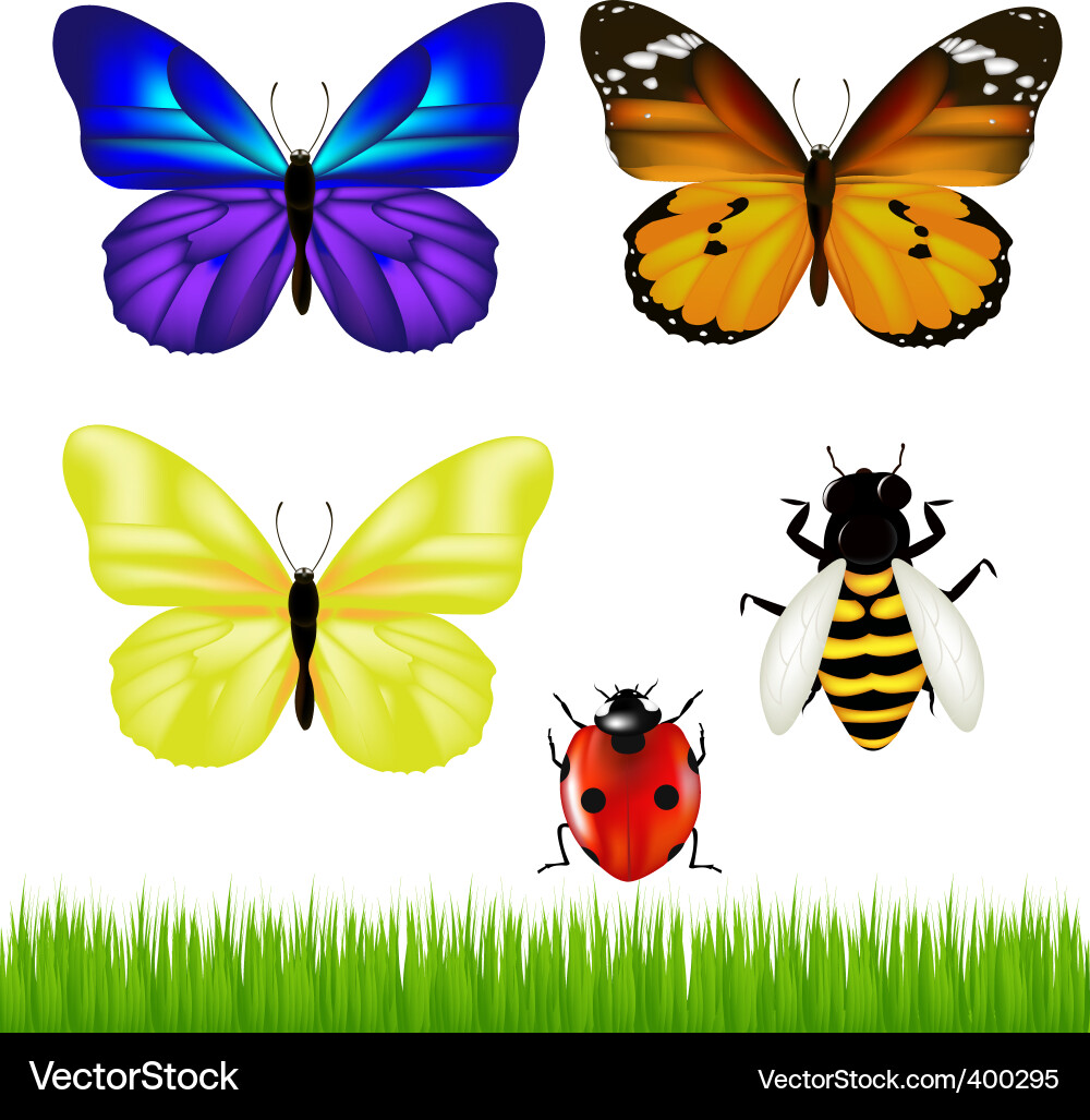Colorful Insects Vector Image