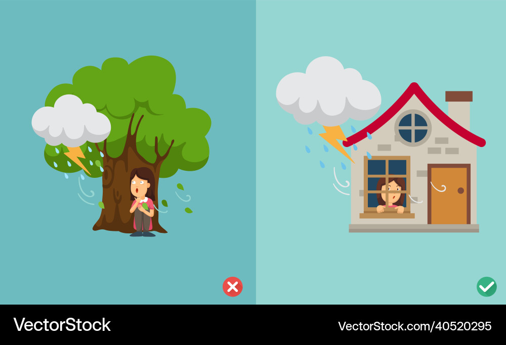Wrong and right way do not be under the big tree Vector Image
