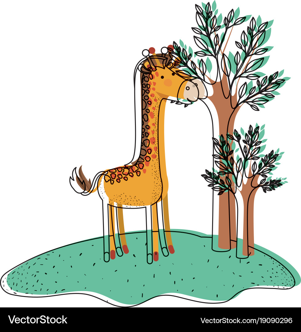 Giraffe cartoon in forest next to the trees Vector Image