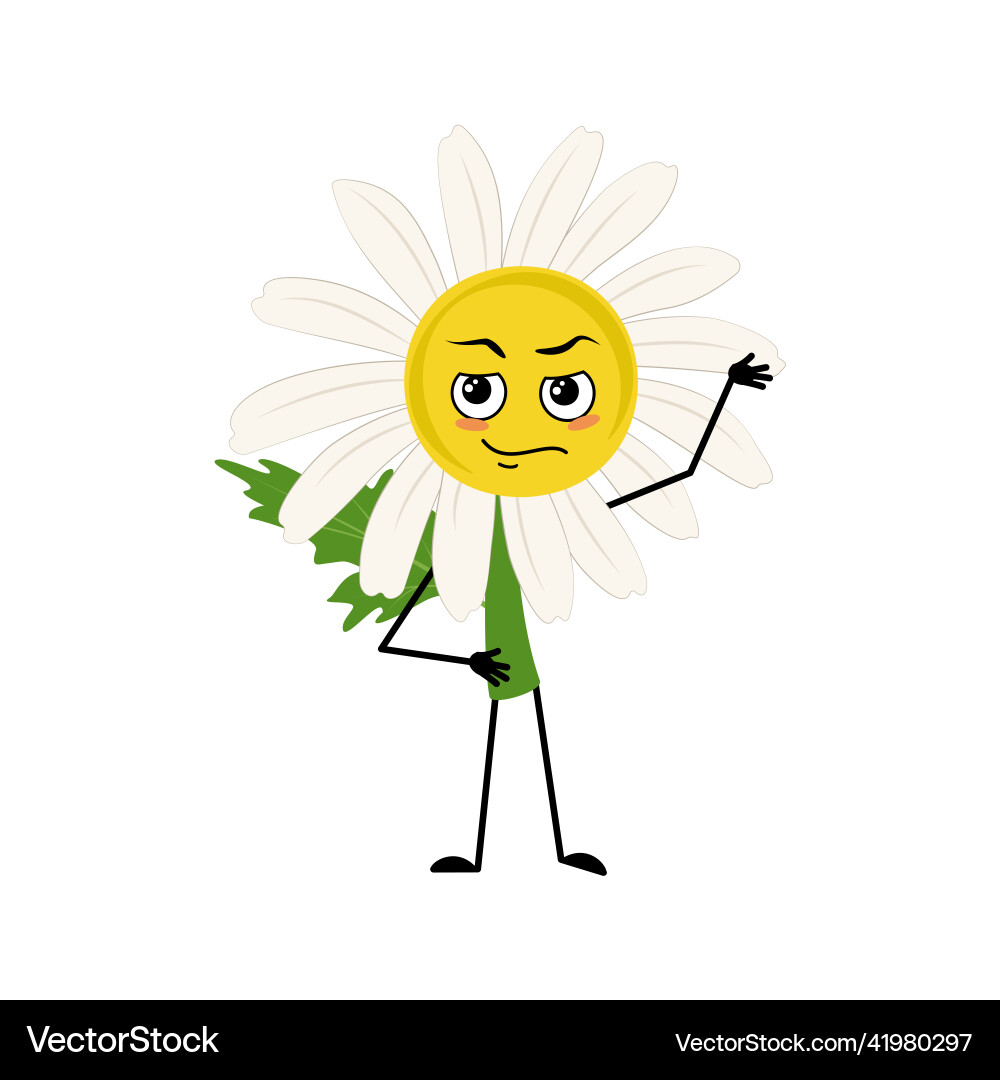 Chamomile character with emotions of hero Chamomile character with emotions of hero vector image