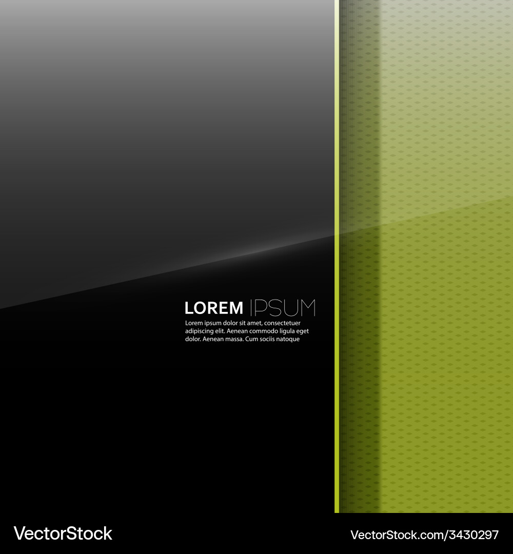 Dark glossy blank with a background texture vector image