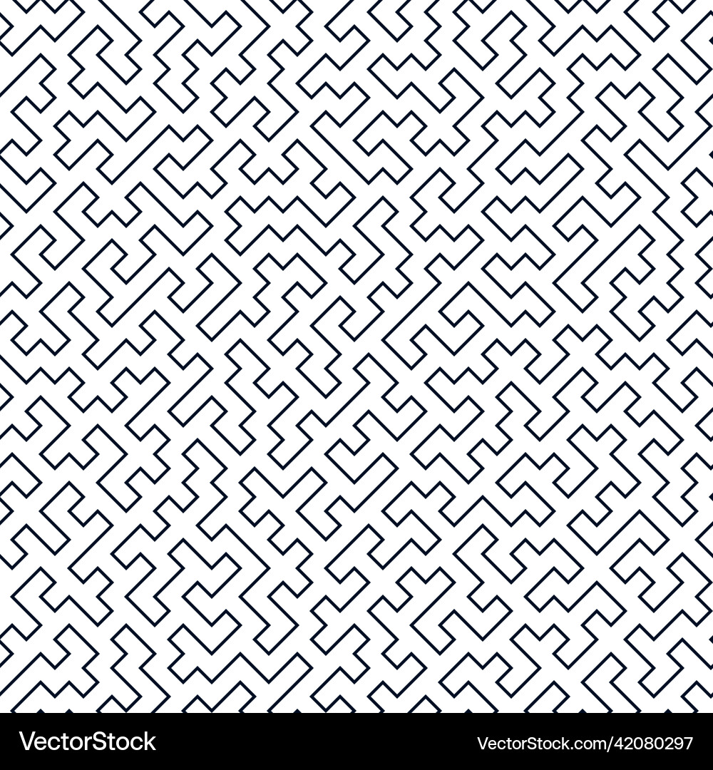 Intricate Maze Line Art Pattern vector image