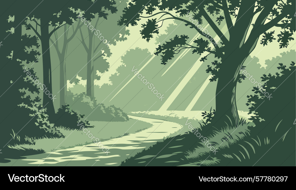 Shaded forest path with overhanging trees Vector Image