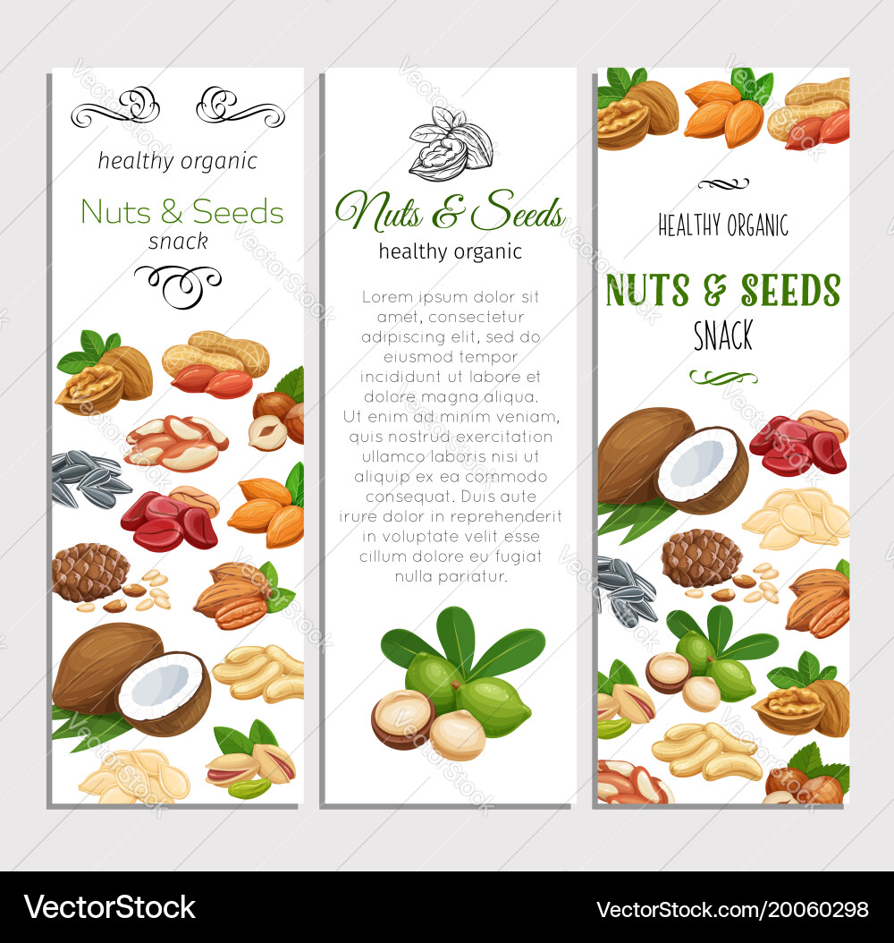 Template with nuts and seeds Vector Image