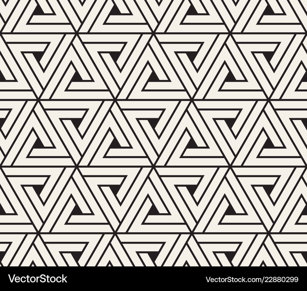 Modern Triangle Pattern vector image