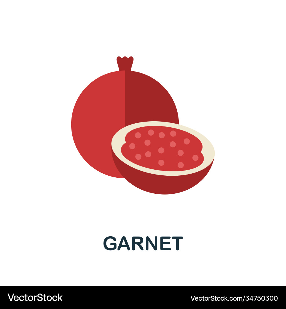 Garnet icon simple element from fruits collection vector image