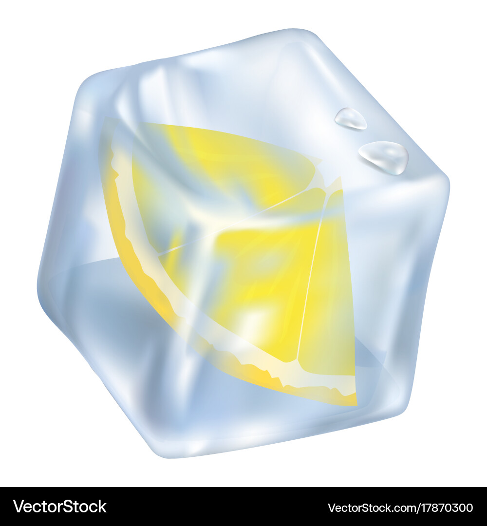 Lemon Ice Cube with Frozen Slice vector image