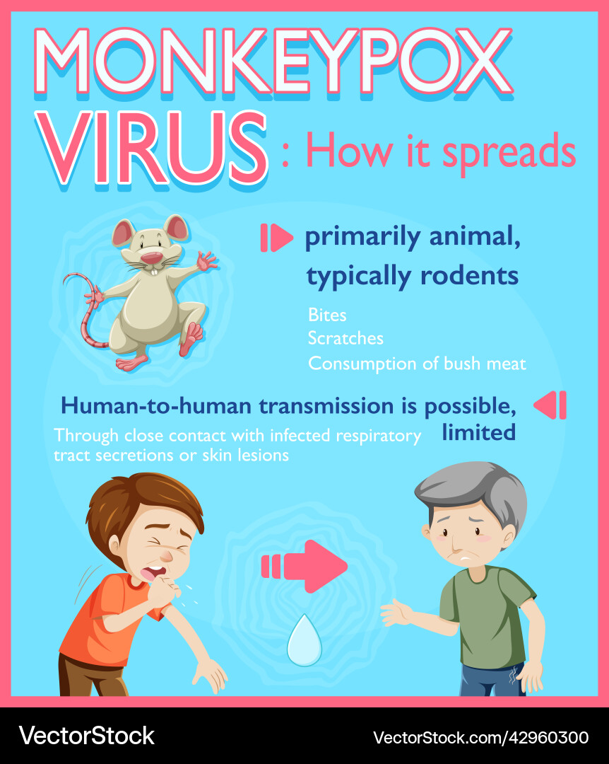 Monkeypox virus symptoms infographic Monkeypox virus symptoms infographic vector image