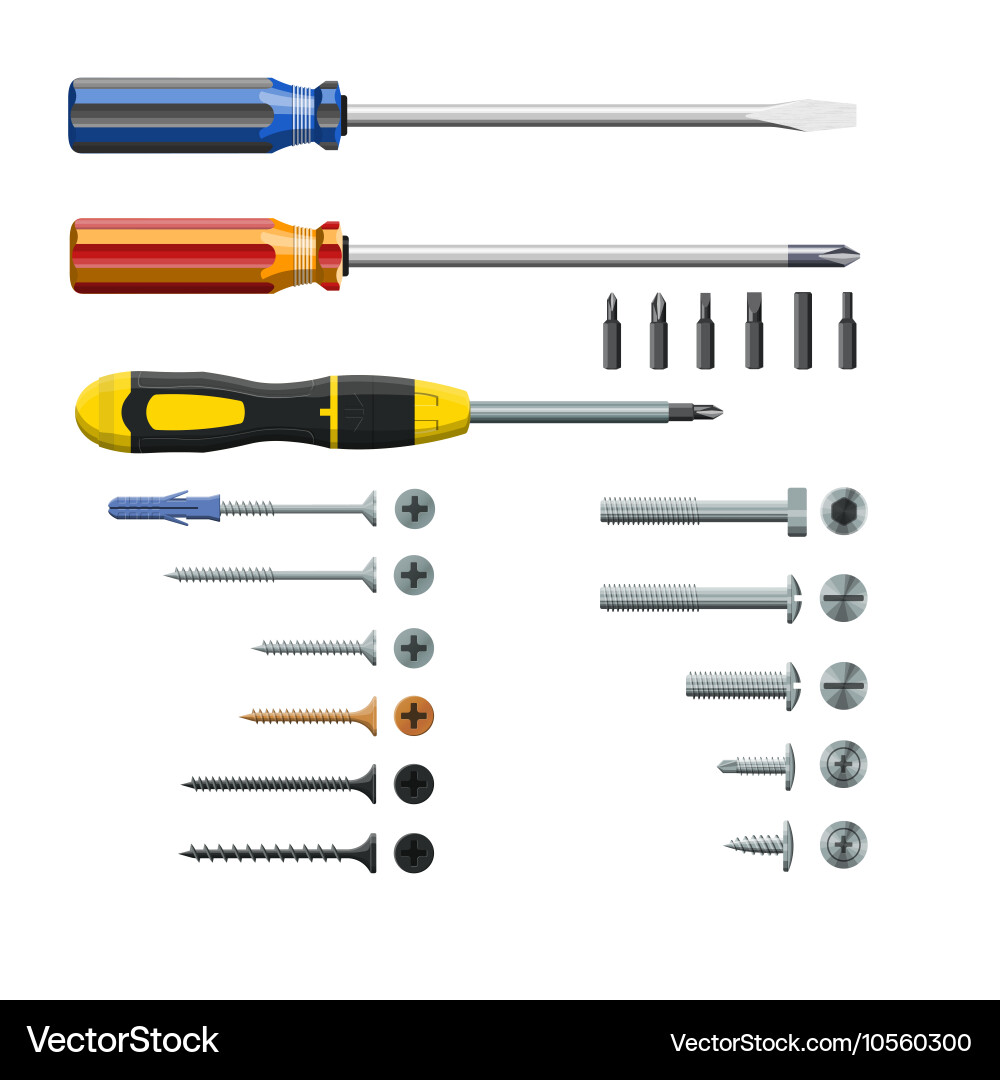 Set of three different screwdrivers bits vector image