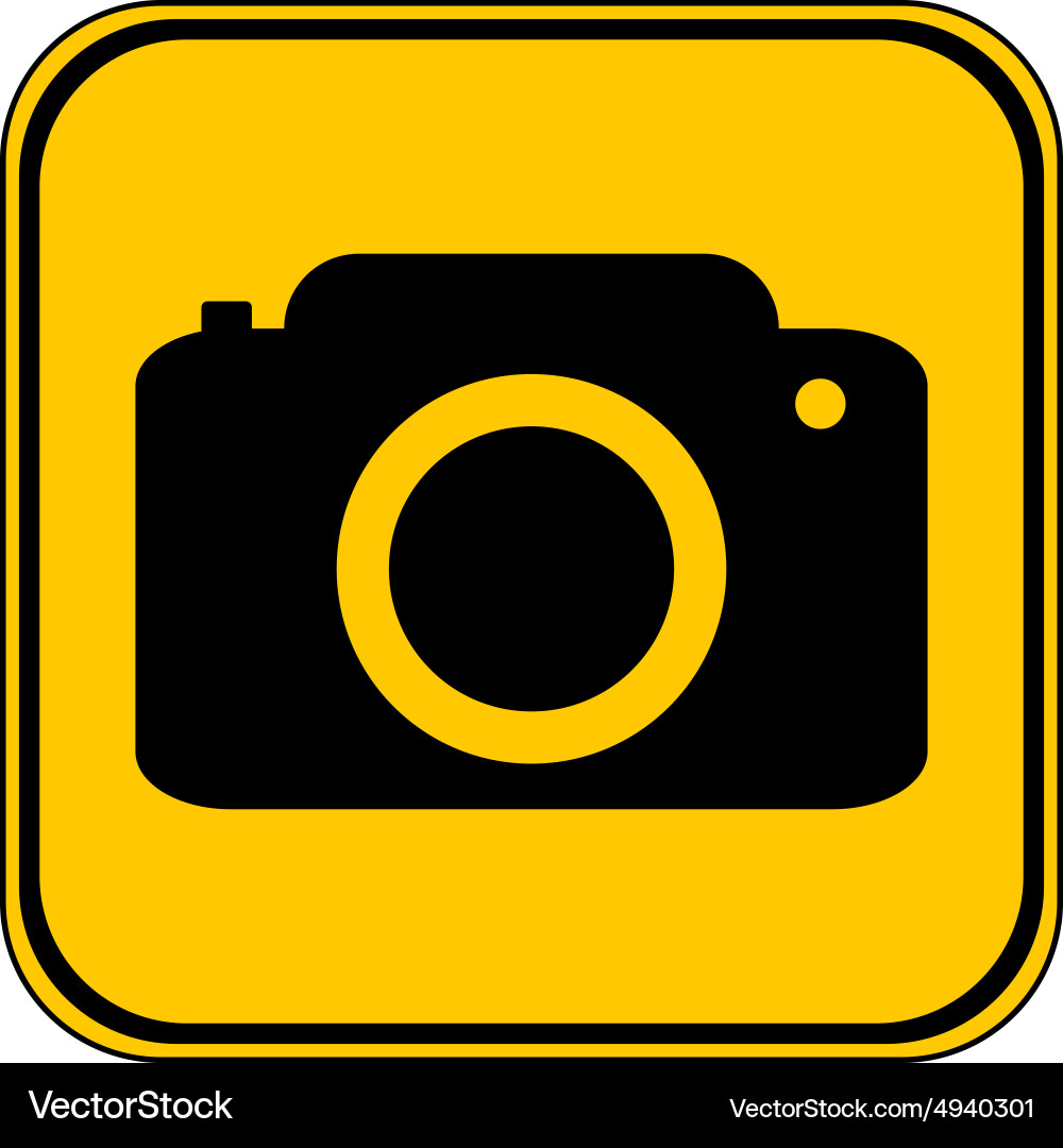 Camera button Vector Image