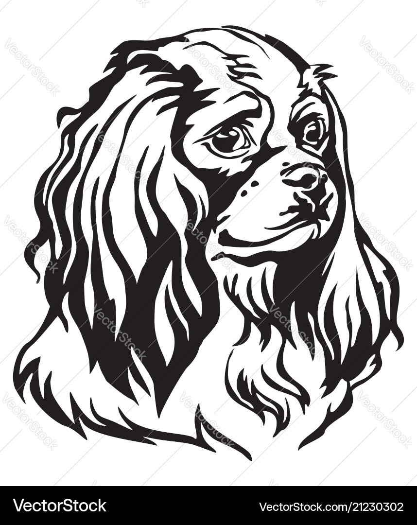 Decorative portrait of dog cavalier king charles Decorative portrait of dog cavalier king charles vector image
