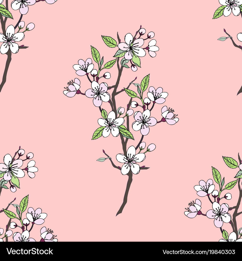 Seamless pattern with sakura vector image